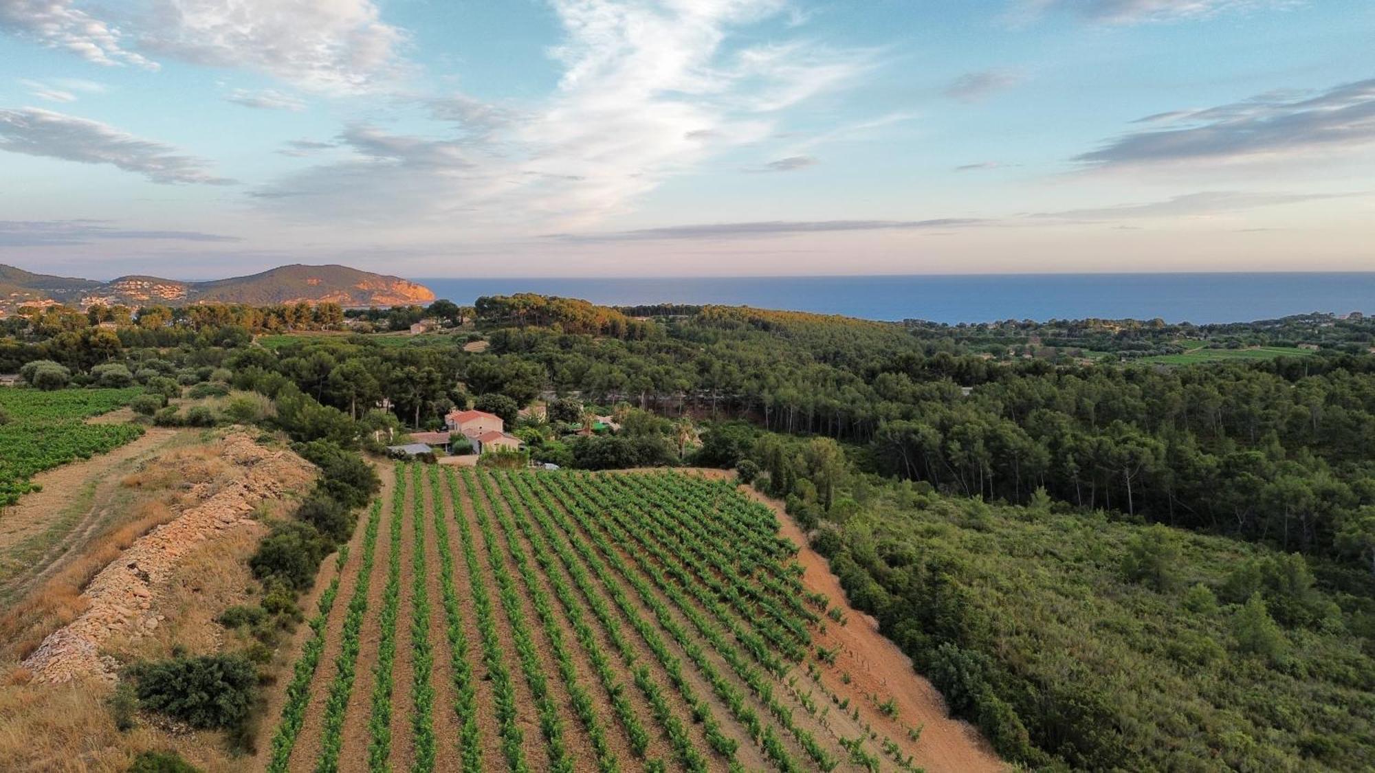 Gîte Vue Mer La Cadière-d'Azur Exterior foto