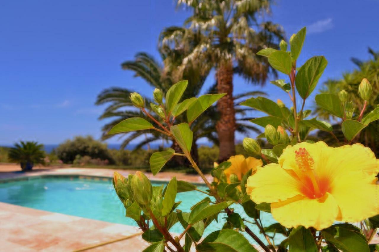 Gîte Vue Mer La Cadière-d'Azur Exterior foto